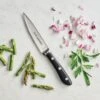 Tramontina 4 In Chef''s Paring Knife -1 80008000PRM001G