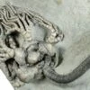 3.4" Spectacular Fossil Crinoid (Cyathocrinites) - Crawfordsville -1 cyathocrinites kelloggi