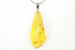 1.5" Polished Baltic Amber Pendant (Necklace) - Contains Fly!