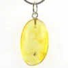 .95" Polished Baltic Amber Pendant (Necklace) - Contains Fly! 2 .95" Polished Baltic Amber Pendant (Necklace) - Contains Fly! -1 order diptera 2