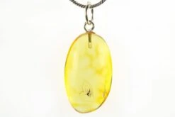 .95" Polished Baltic Amber Pendant (Necklace) - Contains Fly!