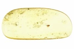 1.7" Polished Colombian Copal (2.7 G) - Contains Flies!