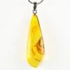 1.6" Polished Baltic Amber Pendant (Necklace) - Contains Fly! 1 1.6" Polished Baltic Amber Pendant (Necklace) - Contains Fly! -1 order diptera 7