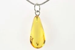 .85" Polished Baltic Amber Pendant (Necklace) - Contains Flies!