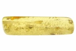 1.25" Polished Colombian Copal (2.7 G) - Contains Wasps & Flies!