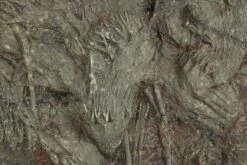 25" Silurian Fossil Crinoid (Scyphocrinites) Plate - Morocco -1 scyphocrinites elegans 12