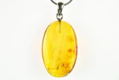 1.2" Polished Baltic Amber Pendant (Necklace) - Contains Insect!