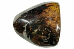 1.1" Polished Chiapas Amber (10.6 G) - Mexico