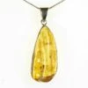 1.65" Polished Baltic Amber Pendant (Necklace) - 925 Sterling Silver -1 unidentified 14