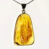 1.6" Polished Baltic Amber Pendant (Necklace) - 925 Sterling Silver -1 unidentified 9