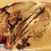 Detailed Fossil Leaf In Baltic Amber -1 unidentified leaf