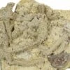 Rare Ordovician Starfish (Urasterella) Fossils - Oklahoma -1 urasterella sp